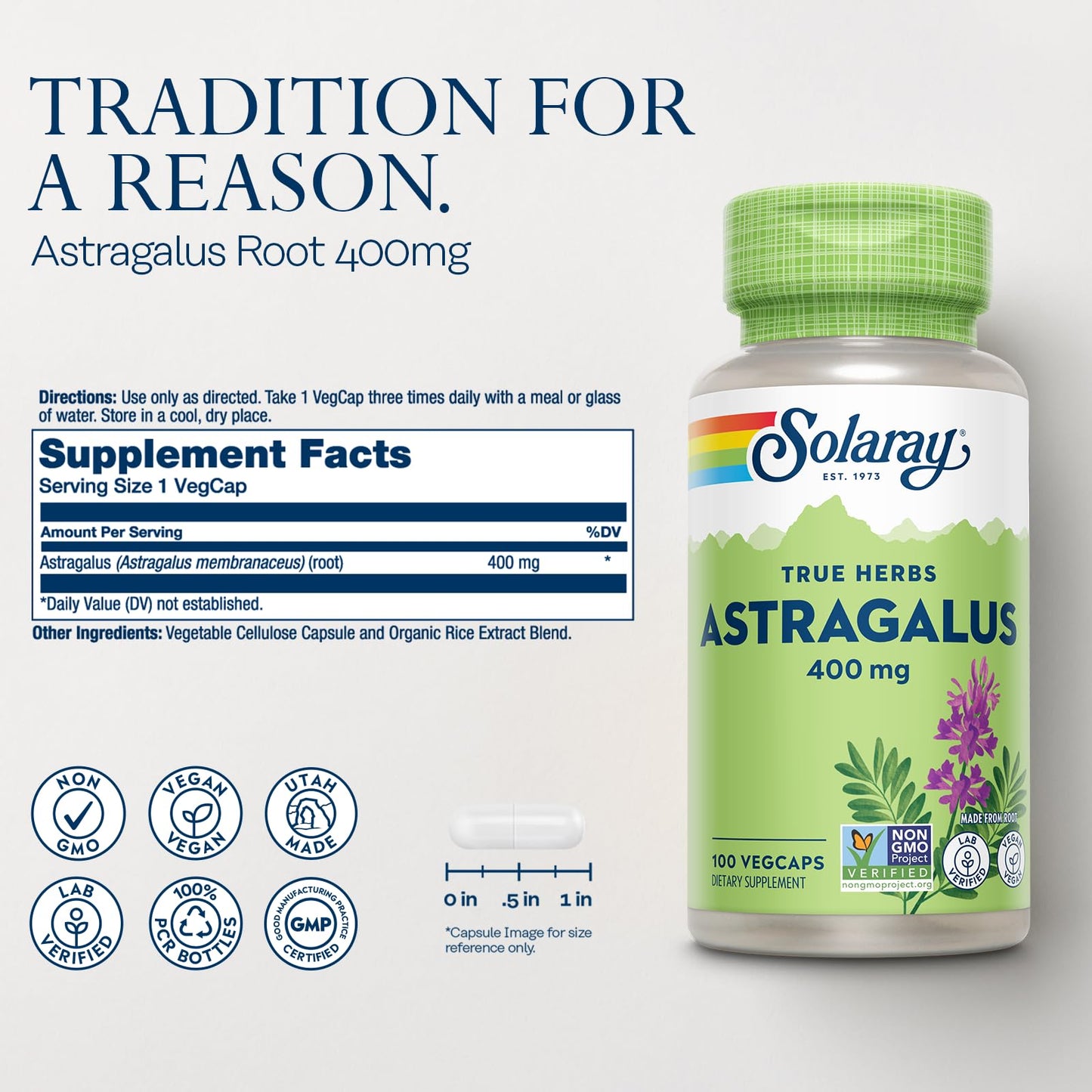 Solaray Astragalus Root 400mg – 100 Servings, Vegan, Non-GMO | Traditional Herbal Support