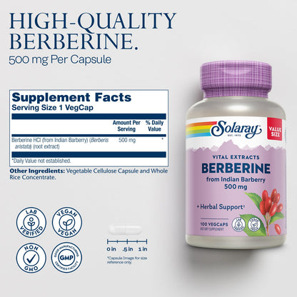 SOLARAY Berberine 500mg – Berberine HCl from Indian Barberry, Vegan, Non-GMO, 100 Servings