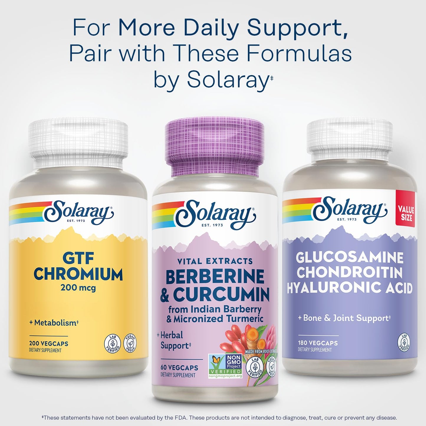SOLARAY Berberine & Curcumin – 60 Servings, Vegan & Gluten Free