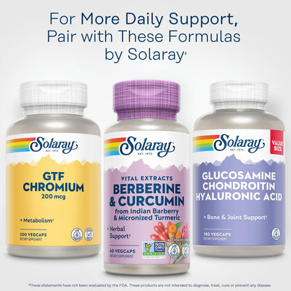 SOLARAY Berberine & Curcumin – 60 Servings, Vegan & Gluten Free