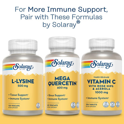 Solaray Bio Zinc 15 mg – Triple Zinc Complex | Immune & Cellular Support