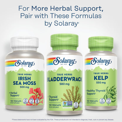 SOLARAY Bladderwrack Capsules 580 mg | Vegan Seaweed Supplement & High Iodine