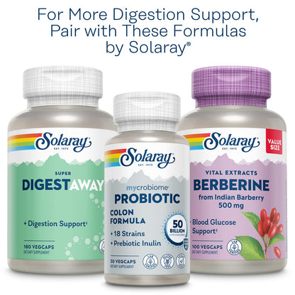 Solaray Cool Cayenne, 90 Capsules | Cayenne Pepper Supplement