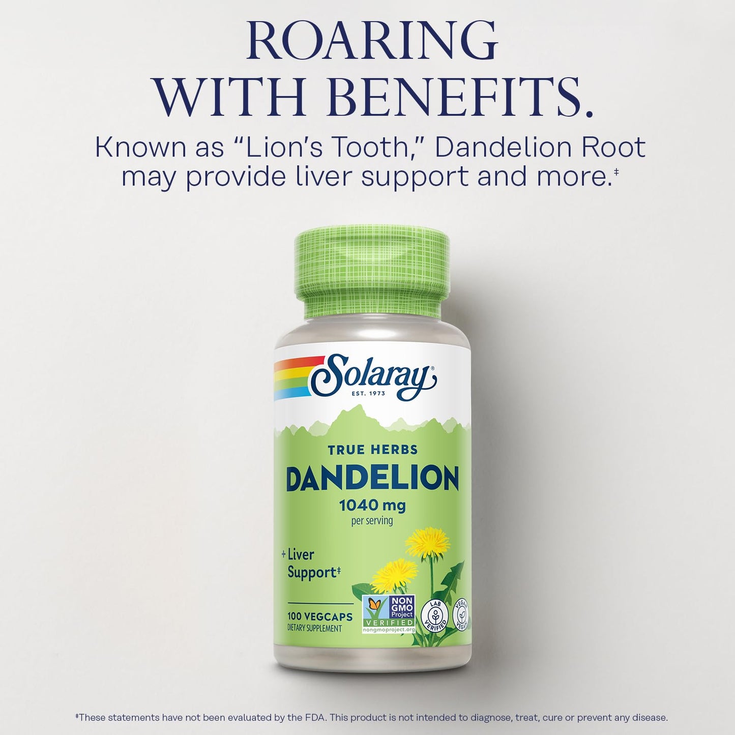 SOLARAY Dandelion Root Supplement – 1,040 mg/Serving | Kidney & Liver Support | Vegan & Lab Verified