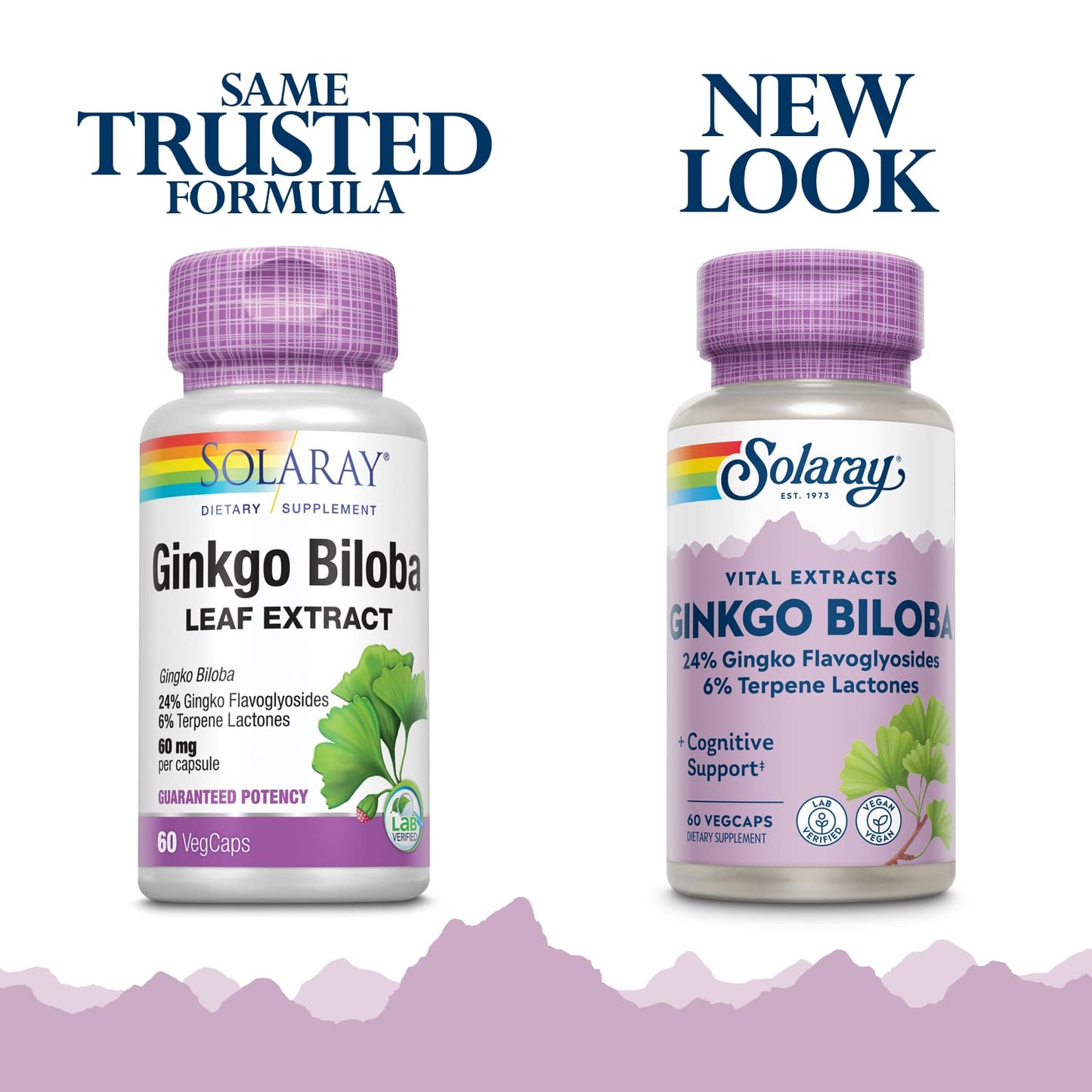 Solaray Ginkgo Biloba Extract 60 mg – 60 Count (Pack of 2) | Herbal Supplement