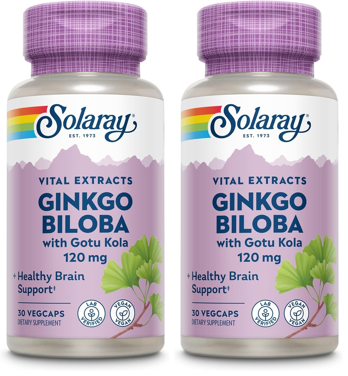 Solaray Ginkgo Biloba with Gotu Kola – Brain Health, Vegan, Lab Verified, 60-Day Guarantee (Pack of 2)