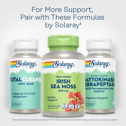Solaray Irish Sea Moss 500 mg – Vegan, Gluten Free, Lab Verified | 60 Day Guarantee | 100 Servings, 100 VegCaps