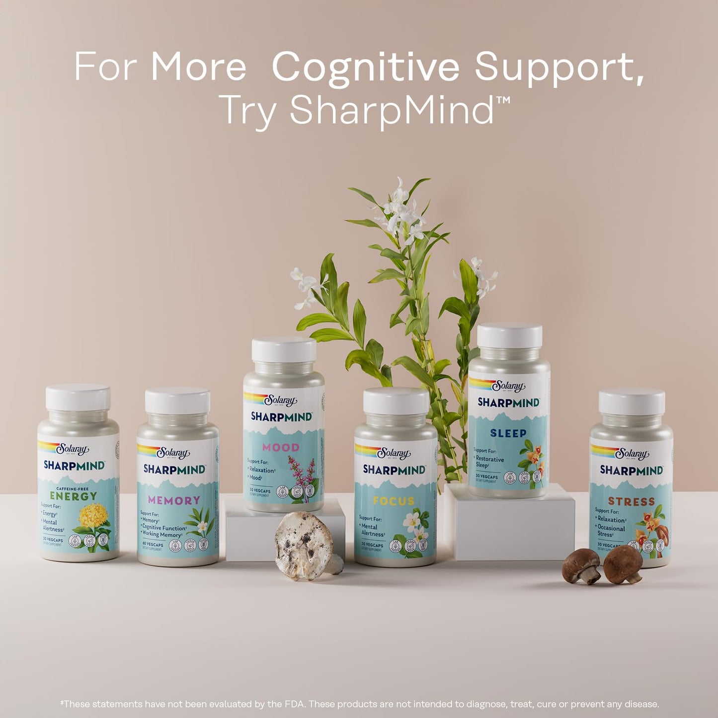 Solaray Ginkgo Biloba with Gotu Kola – Brain Health, Vegan, Lab Verified, 60-Day Guarantee (Pack of 2)