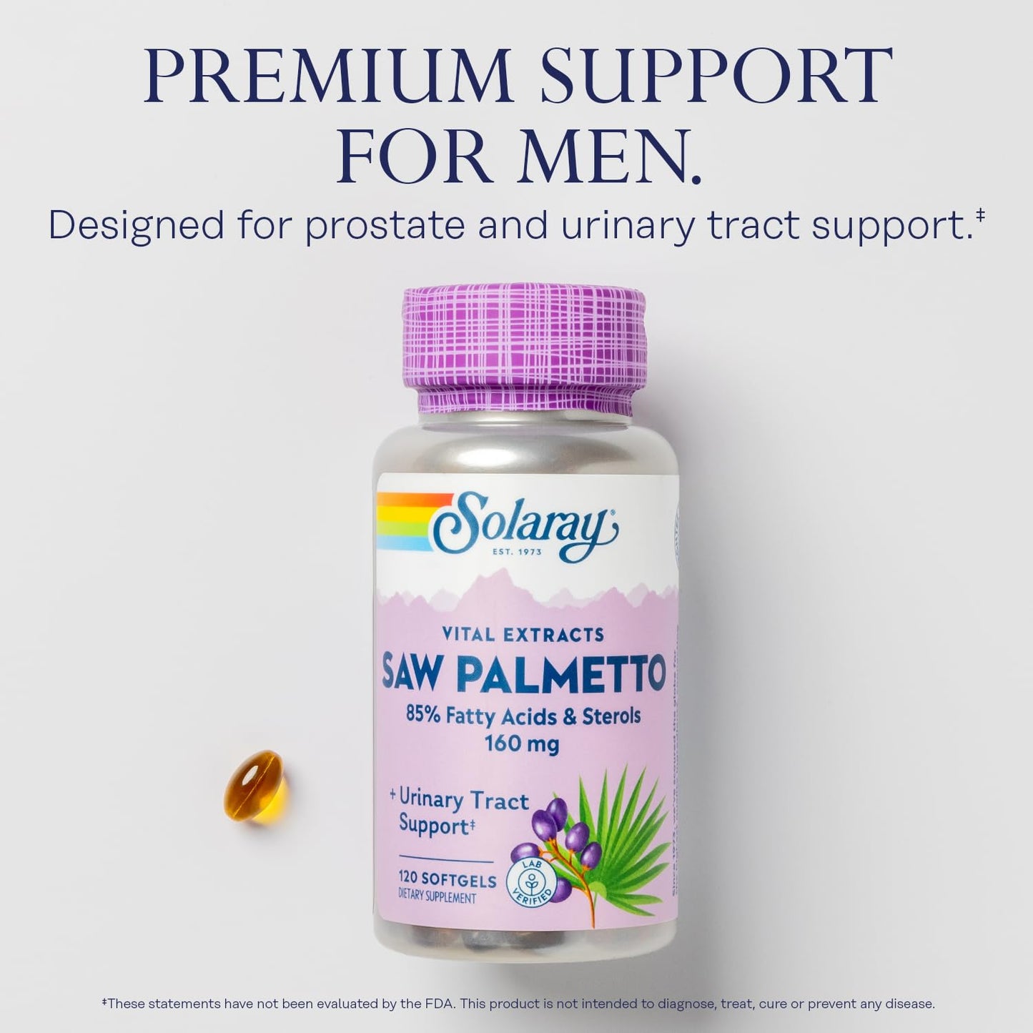 SOLARAY Saw Palmetto Extract - Prostate & Urinary Support, 160 mg per Softgel, 120 Softgels