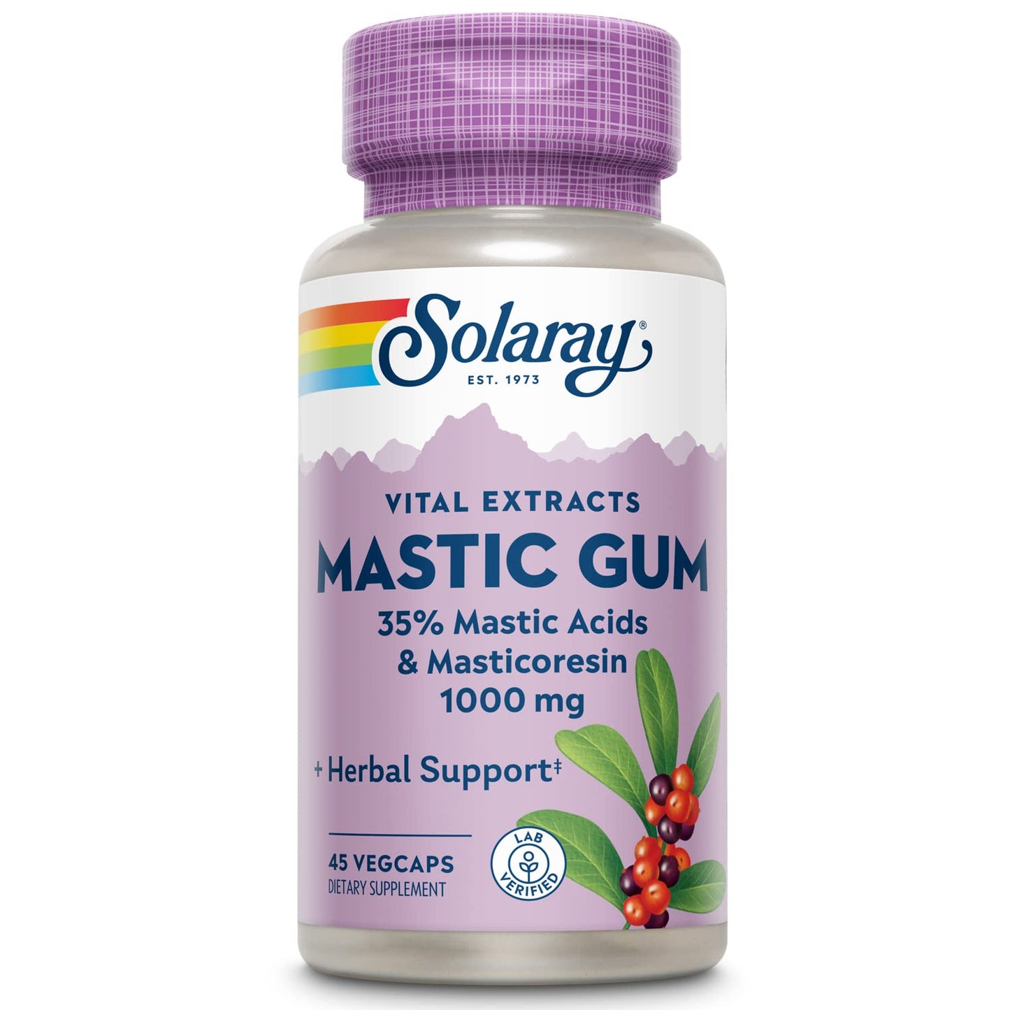 Solaray Mastic Gum Extract 500 mg - 45 Count | Digestive Health