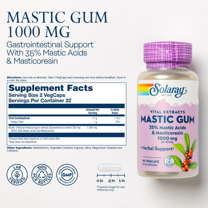 Solaray Mastic Gum Extract 500 mg - 45 Count | Digestive Health