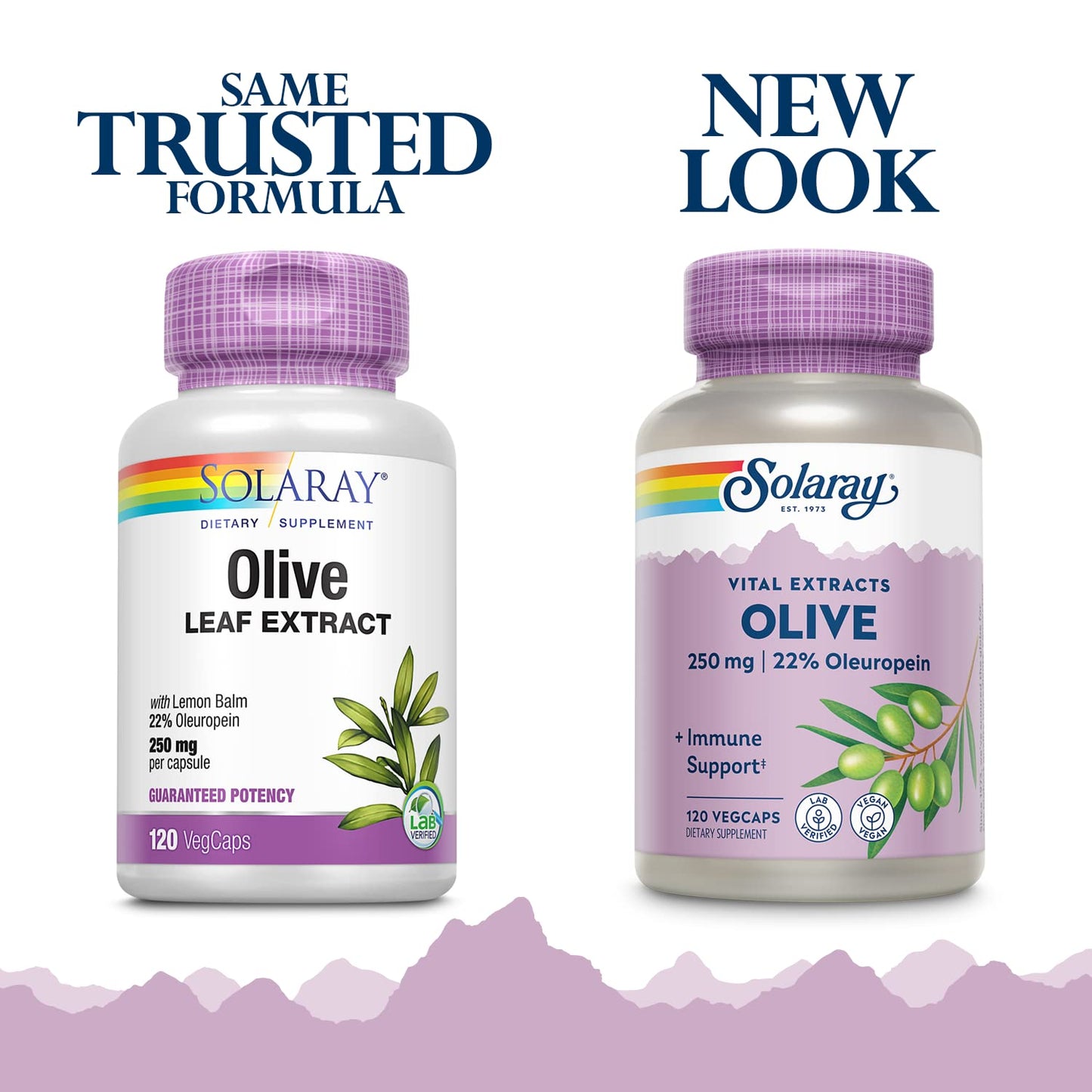 SOLARAY Olive Leaf Extract 250mg Capsules - 22% Oleuropein, Lemon Balm, Vegan, 120 Servings