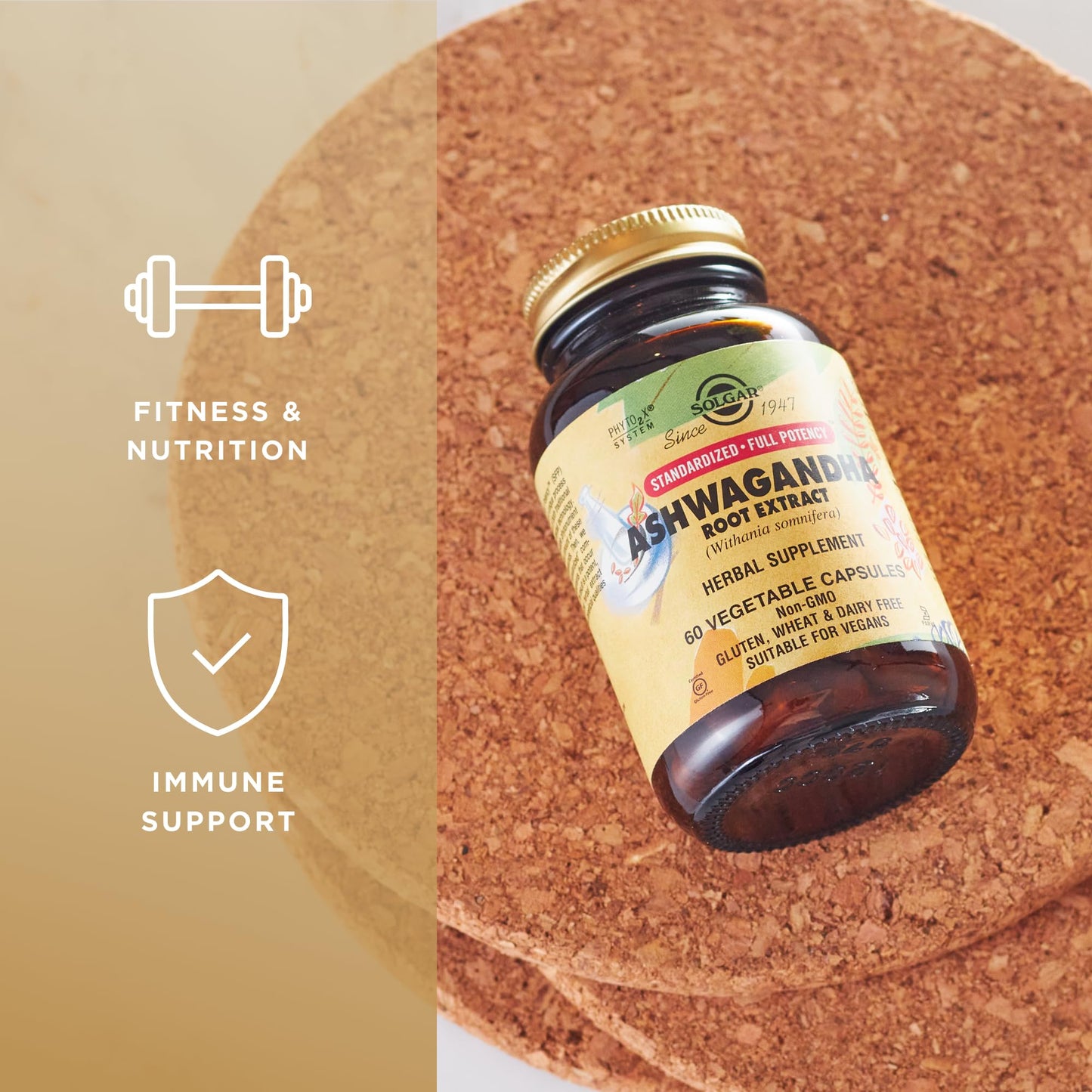 Solgar Ashwagandha Root Extract 60 Veg Capsules | SFP, Non-GMO, Vegan