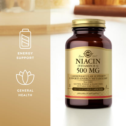 Solgar Niacin (Vitamin B3) 500 mg – 100 Vegetarian Capsules | Energy Metabolism