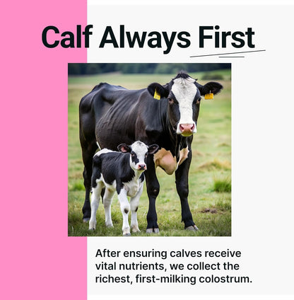 SonoHealth Cowabunga Colostrum Powder – Pure, Unaltered Colostrum for Immune & Gut Support