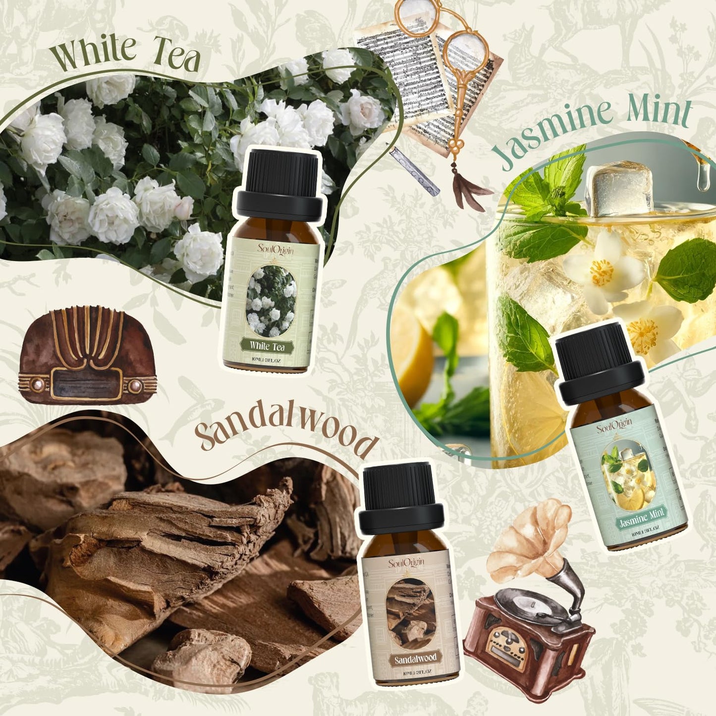Soulorigin Hotel Fragrance Oils Set | Six Premium Diffuser Scents