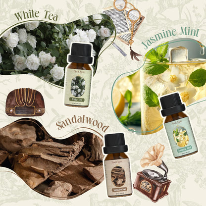 Soulorigin Hotel Fragrance Oils Set | Six Premium Diffuser Scents