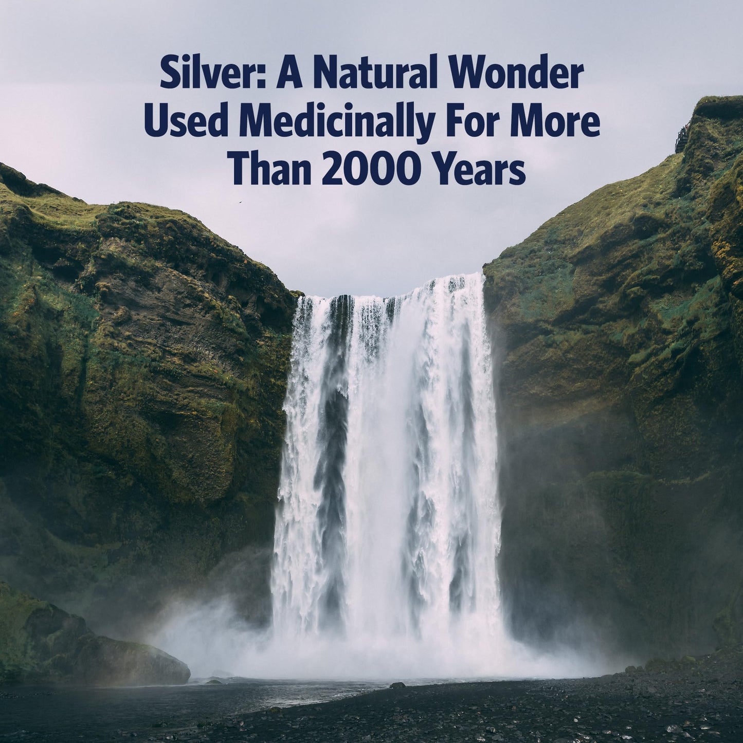 Sovereign Silver Immune Support – Colloidal Silver Hydrosol 10 ppm, 16 fl oz