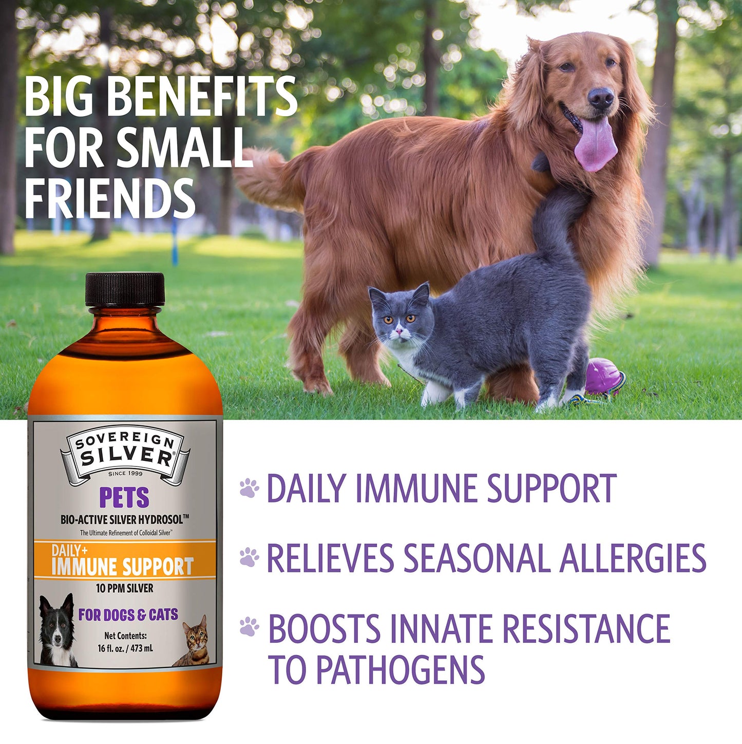Sovereign Silver Pets Immune Support – 10 ppm Colloidal Silver for Dogs & Cats (16 oz)