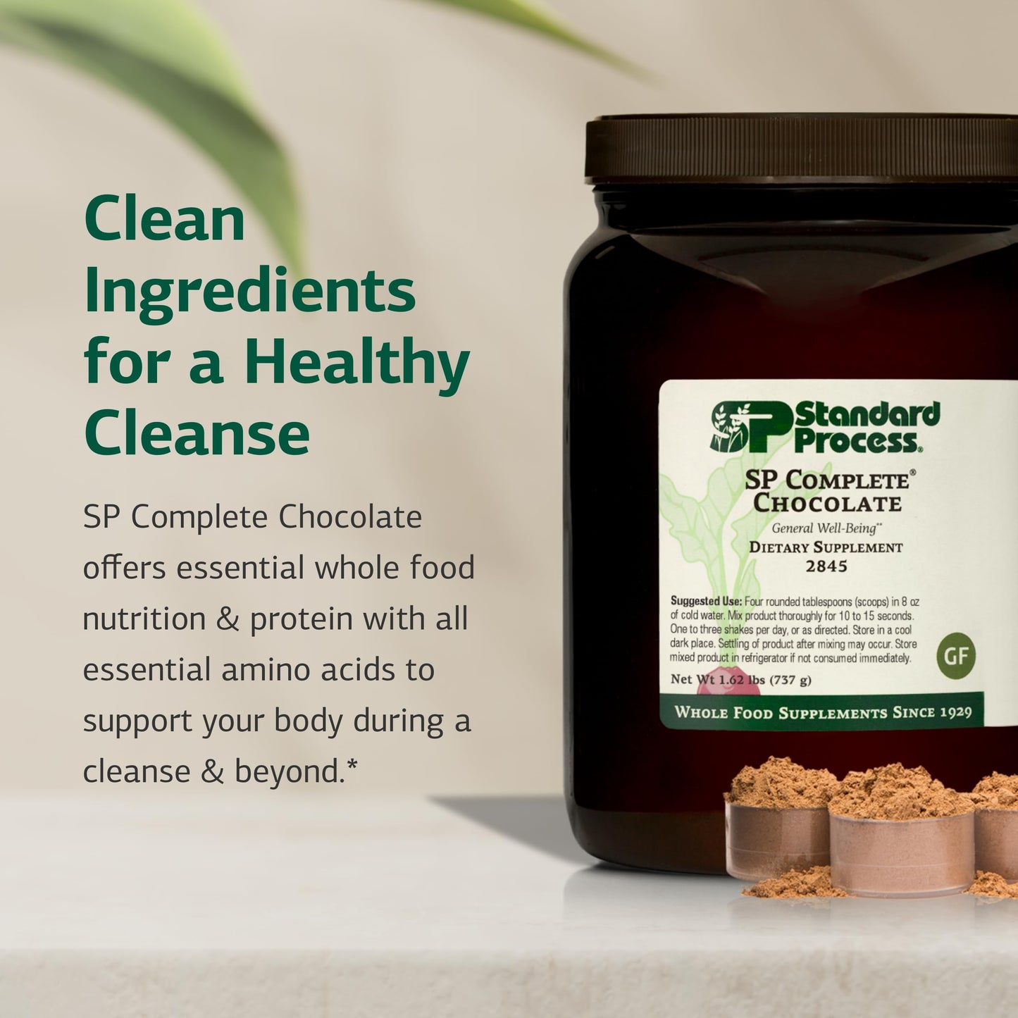 Standard Process SP Complete – Whole-Food Immune & Liver Support, Vegetarian Chocolate, 26 oz