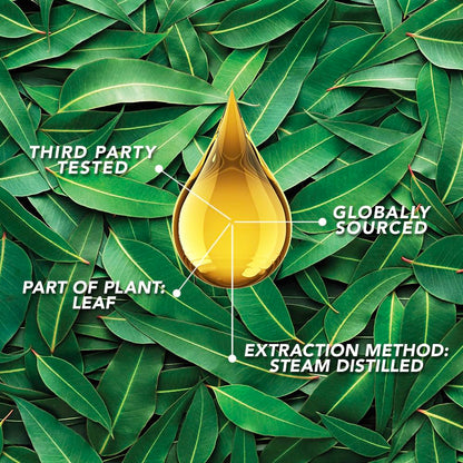 SpaRoom Aromatherapy Eucalyptus Essential Oil – Invigorate (100% Pure & Undiluted, 30 mL)