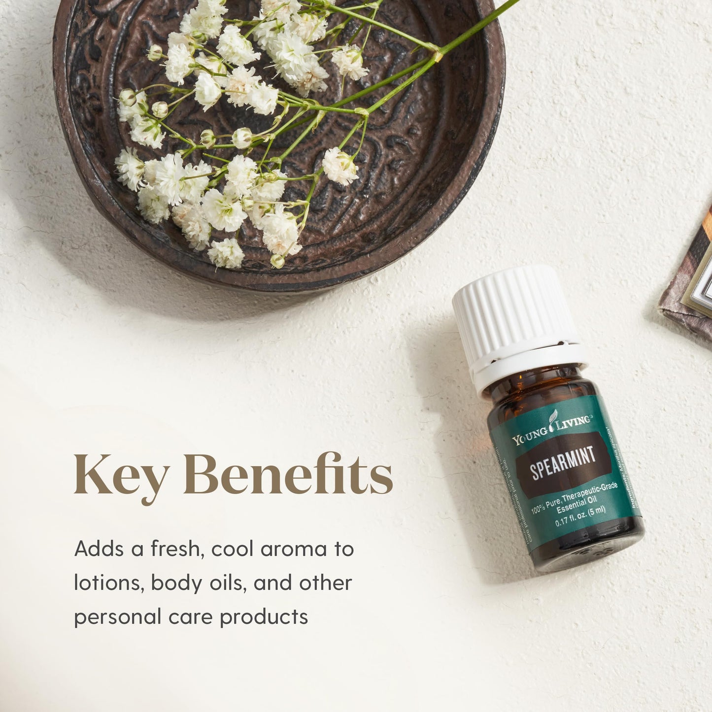 Spearmint Essential Oil 5ml by Young Living | Aromatic Comfort, Digestive and Wellness Support