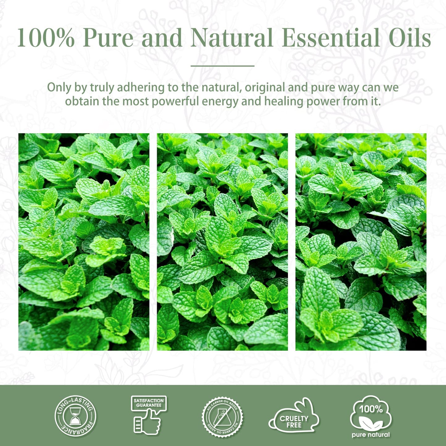 Spearmint Essential Oil 30ml | PHATOIL Pure Aromatherapy for Diffusers & DIY
