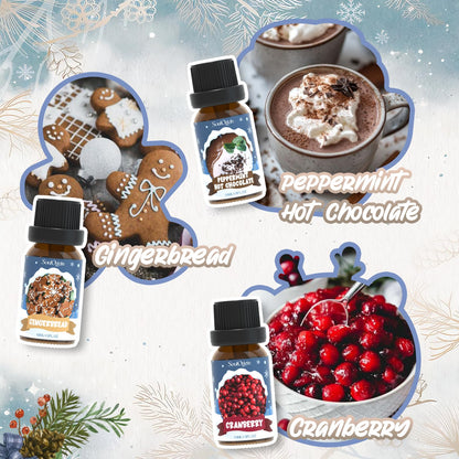 SoulOrigin Winter Essential Oils Set – 6x10ml Fragrance Oils for Diffusers and Gifts