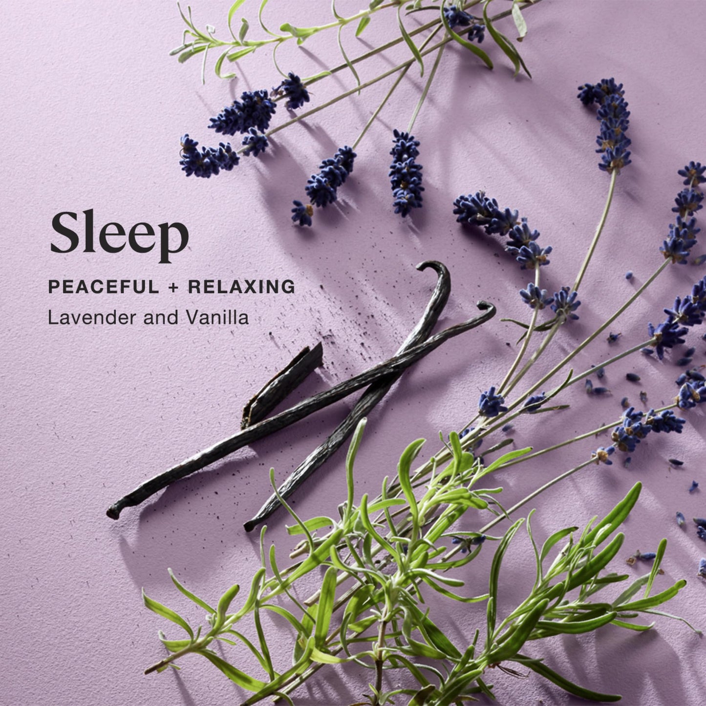 Sprig by Kohler Sleep Aromatherapy Candle – Lavender & Vanilla, 8 oz, 100% Soy-Coconut Wax