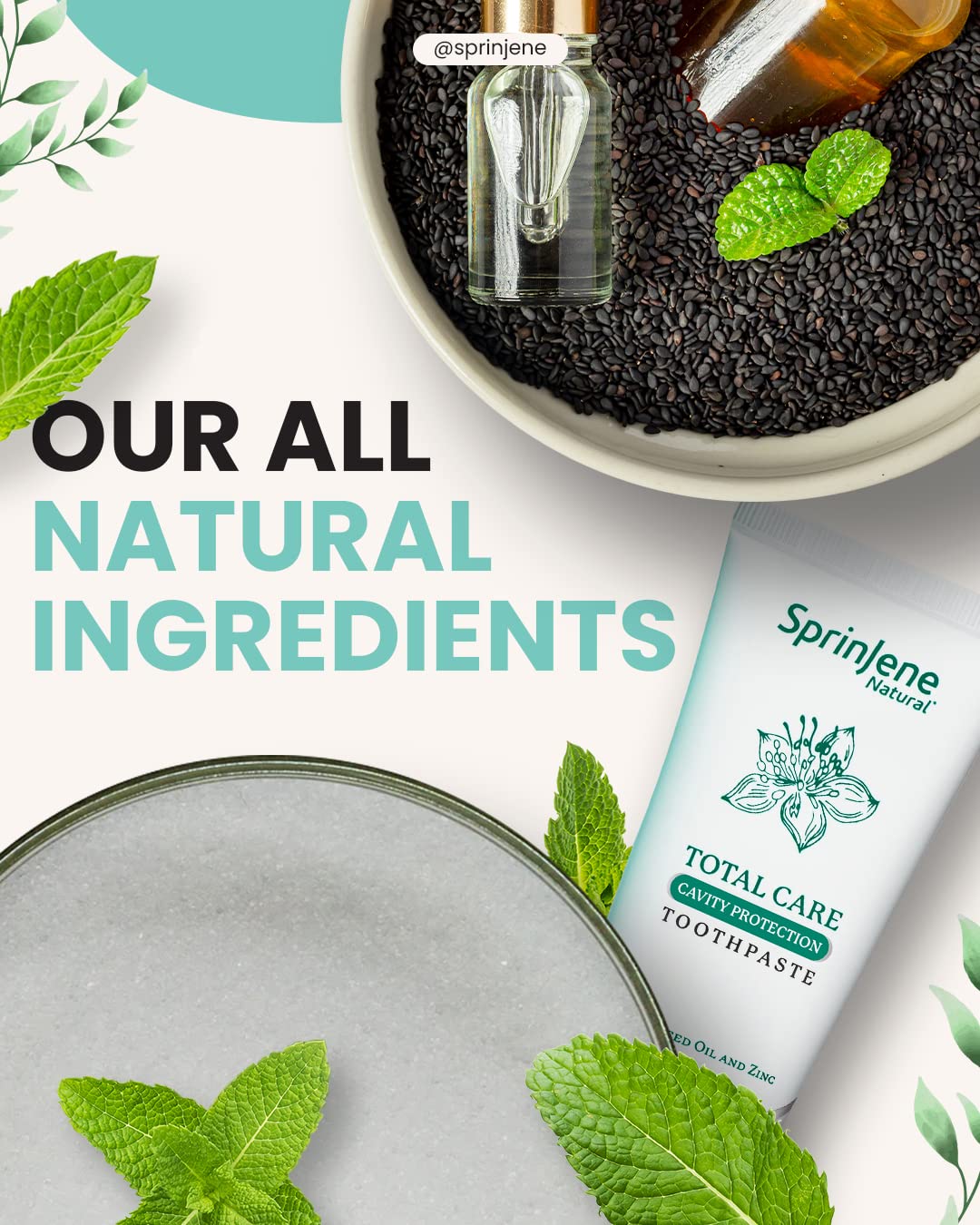 SprinJene Natural Total Care Toothpaste – Fluoride, Black Seed Oil & Zinc | Made in USA (4 Pack)