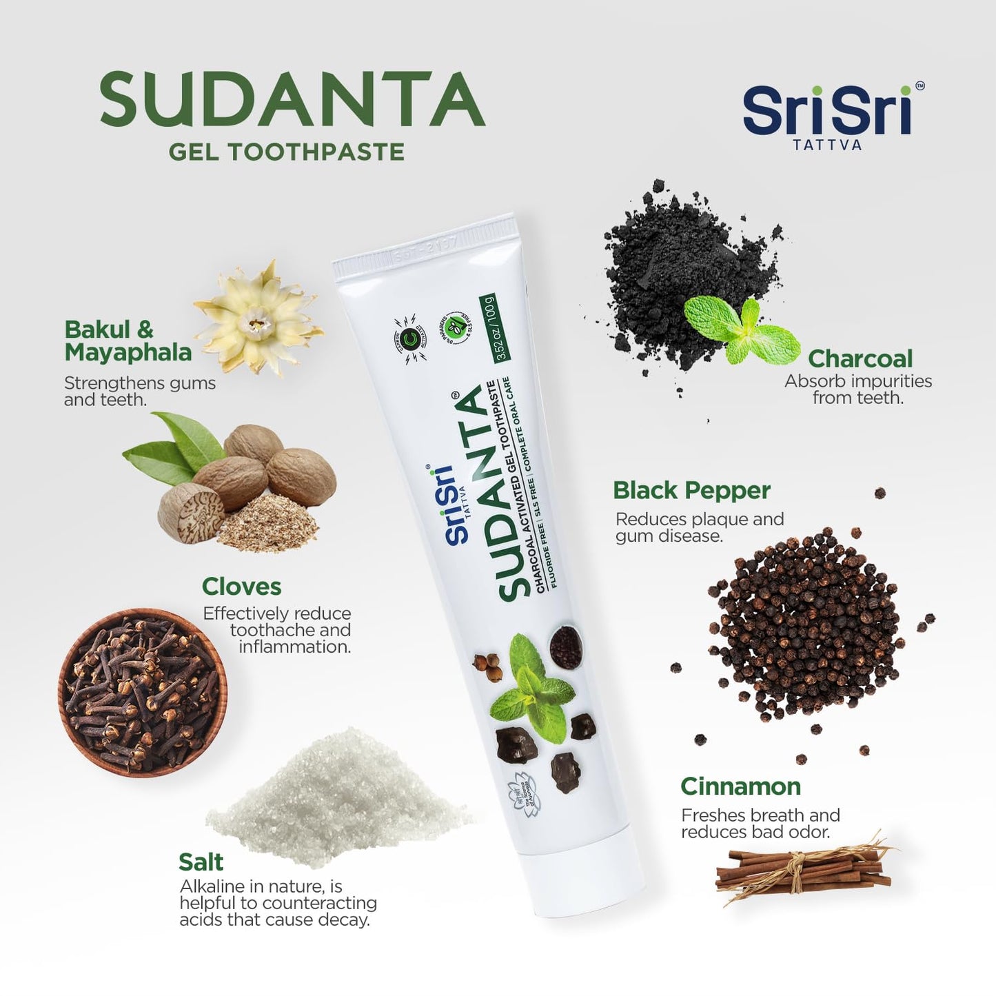 Sri Sri Tattva Sudanta Charcoal Toothpaste Gel – Herbal, SLS & Fluoride Free