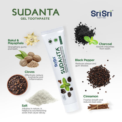 Sri Sri Tattva Sudanta Charcoal Toothpaste Gel – Herbal, SLS & Fluoride Free