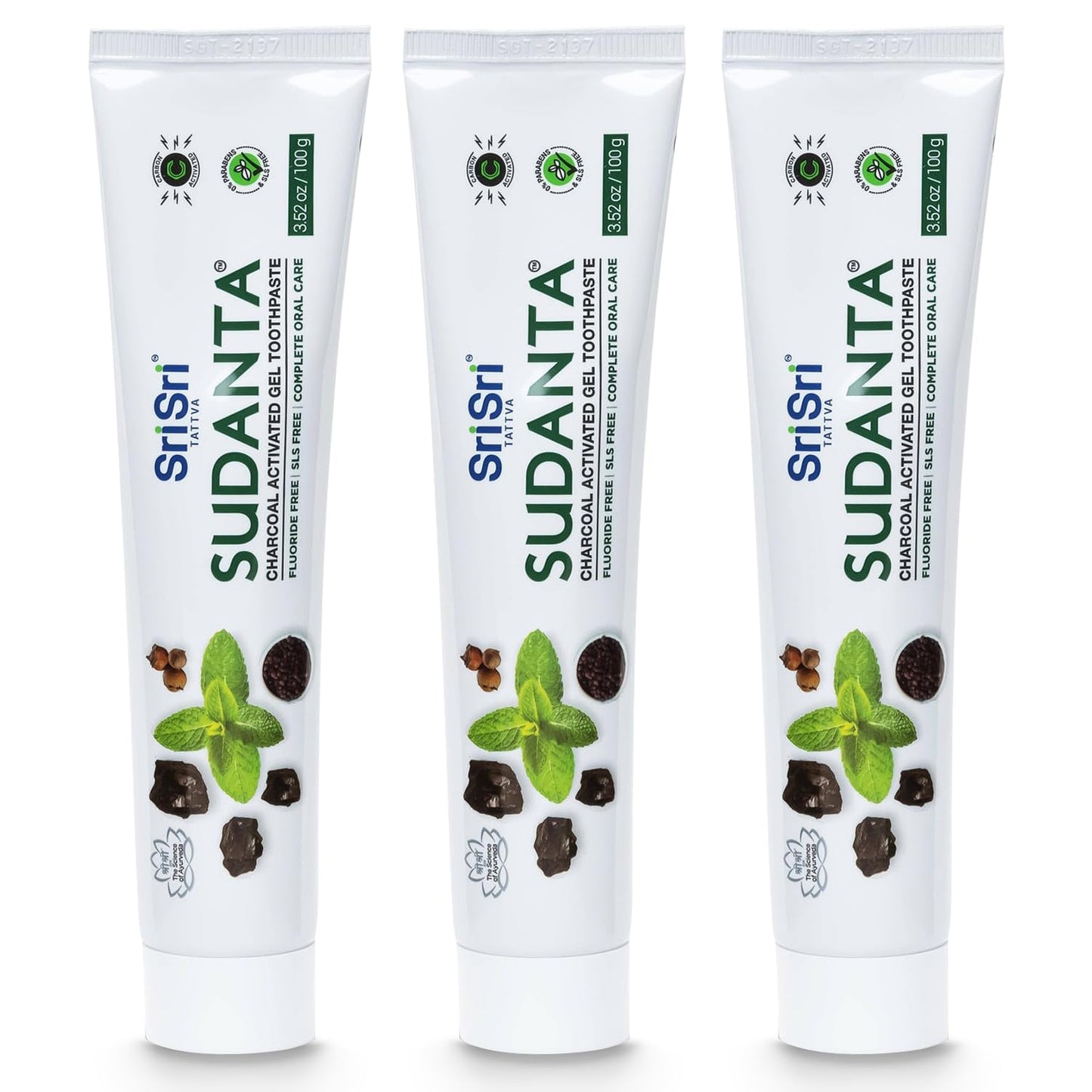 Sri Sri Tattva Sudanta Charcoal Toothpaste Gel – SLS & Fluoride Free Herbal Toothpaste (100g Tube, Pack of 3)