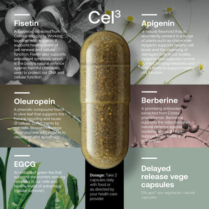SRW Cel³ Renewal 60 Capsules | Stem Cell Support for Youthful Aging