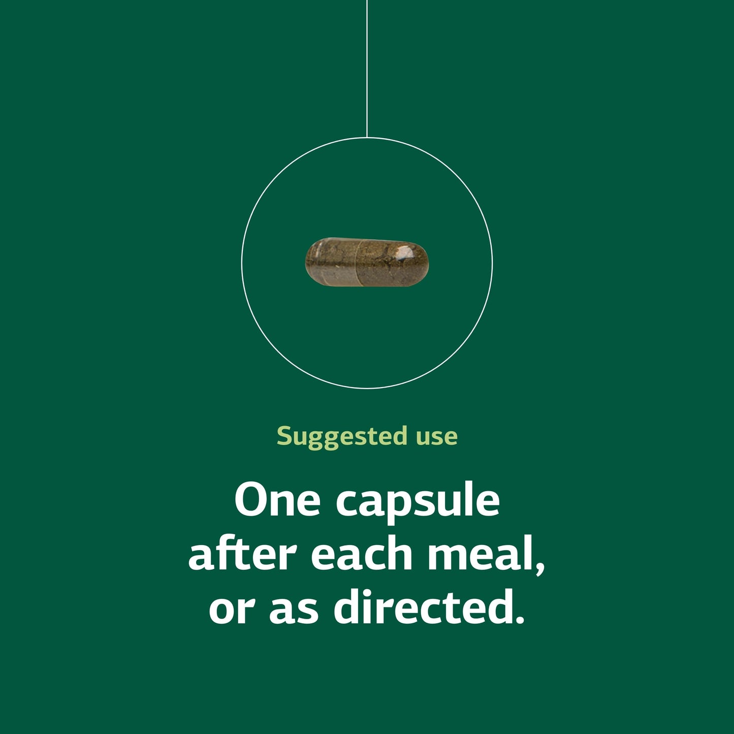Standard Process Okra Pepsin E3 - Digestive Support for Protein Digestion, 90 Capsules