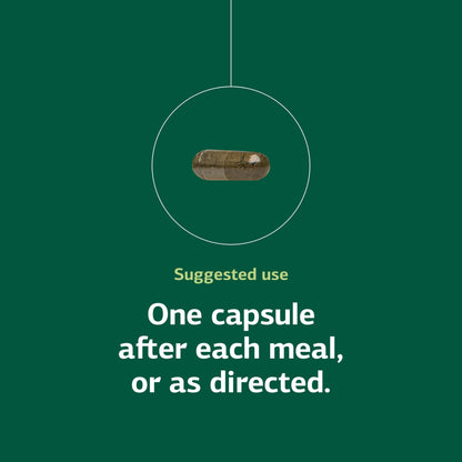 Standard Process Okra Pepsin E3 - Digestive Support for Protein Digestion, 90 Capsules