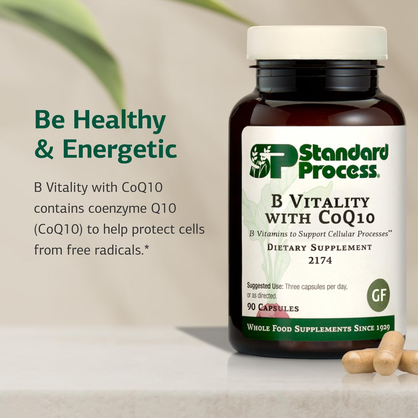 Standard Process B Vitality with CoQ10 – Cellular Health Supplement (Vegan, Gluten‑Free, Non‑Dairy) 90 Capsules