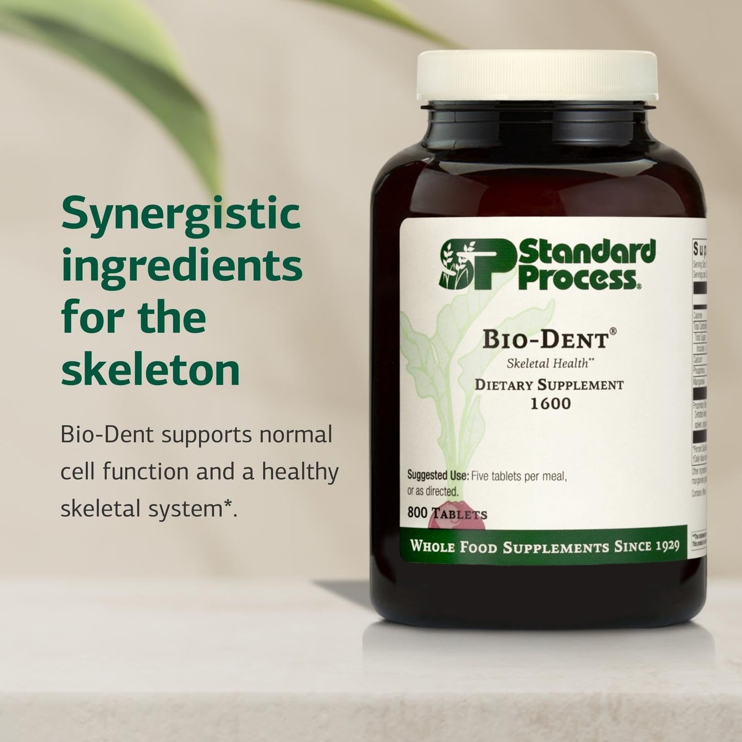 Bio-Dent Skeletal Health Dietary Supplement – 800 Tablets | Standard Process