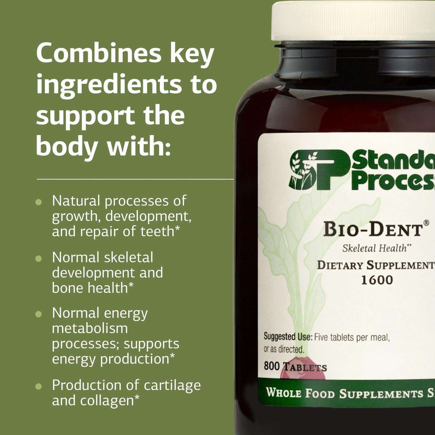 Bio-Dent Skeletal Health Dietary Supplement – 800 Tablets | Standard Process