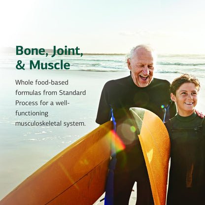 Bio-Dent Skeletal Health Dietary Supplement – 800 Tablets | Standard Process