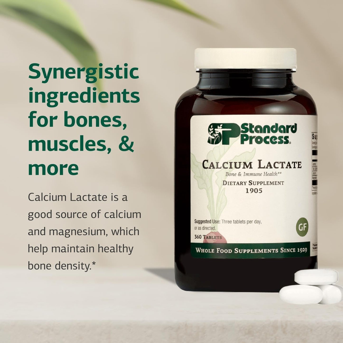 Standard Process Calcium Lactate – Bone & Immune Health Support | Vegan, Gluten-Free, Non-Dairy | 360 Tablets