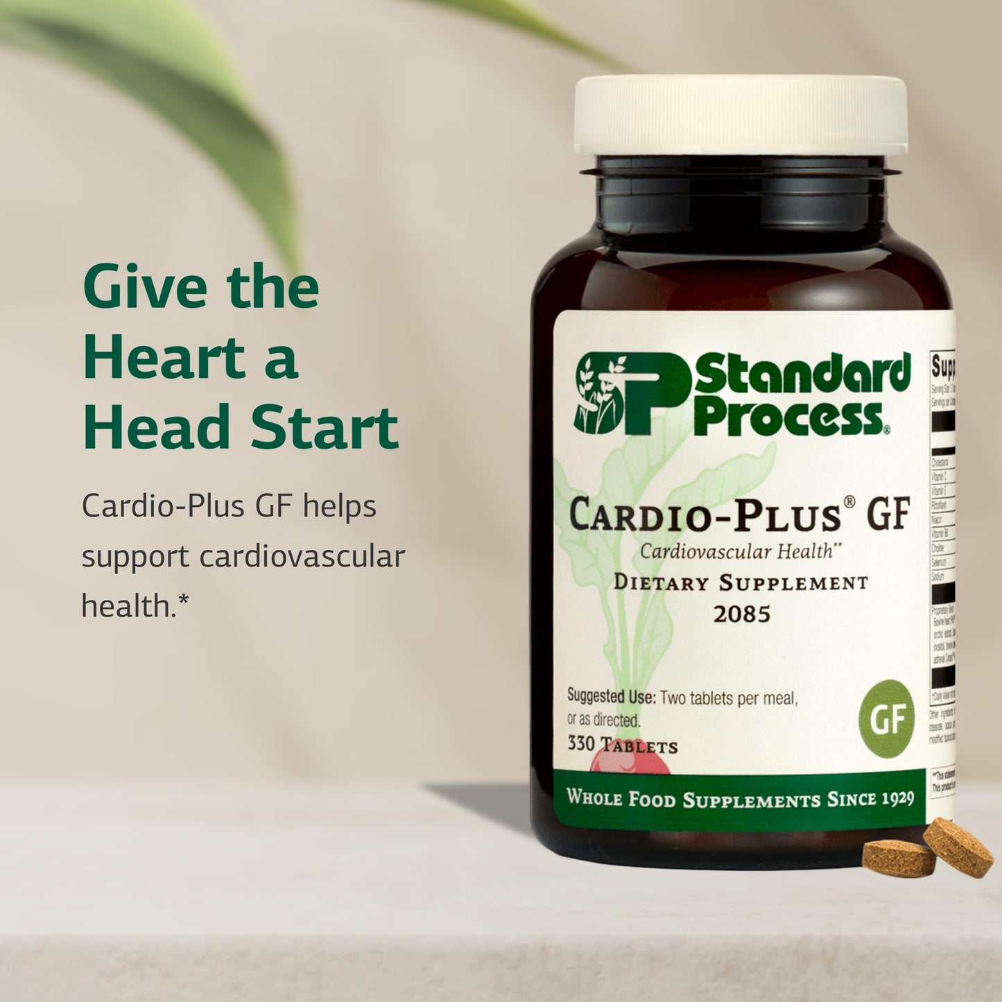 Cardio-Plus GF by Standard Process Inc. – Heart Health & Circulation Support – 330 Tablets