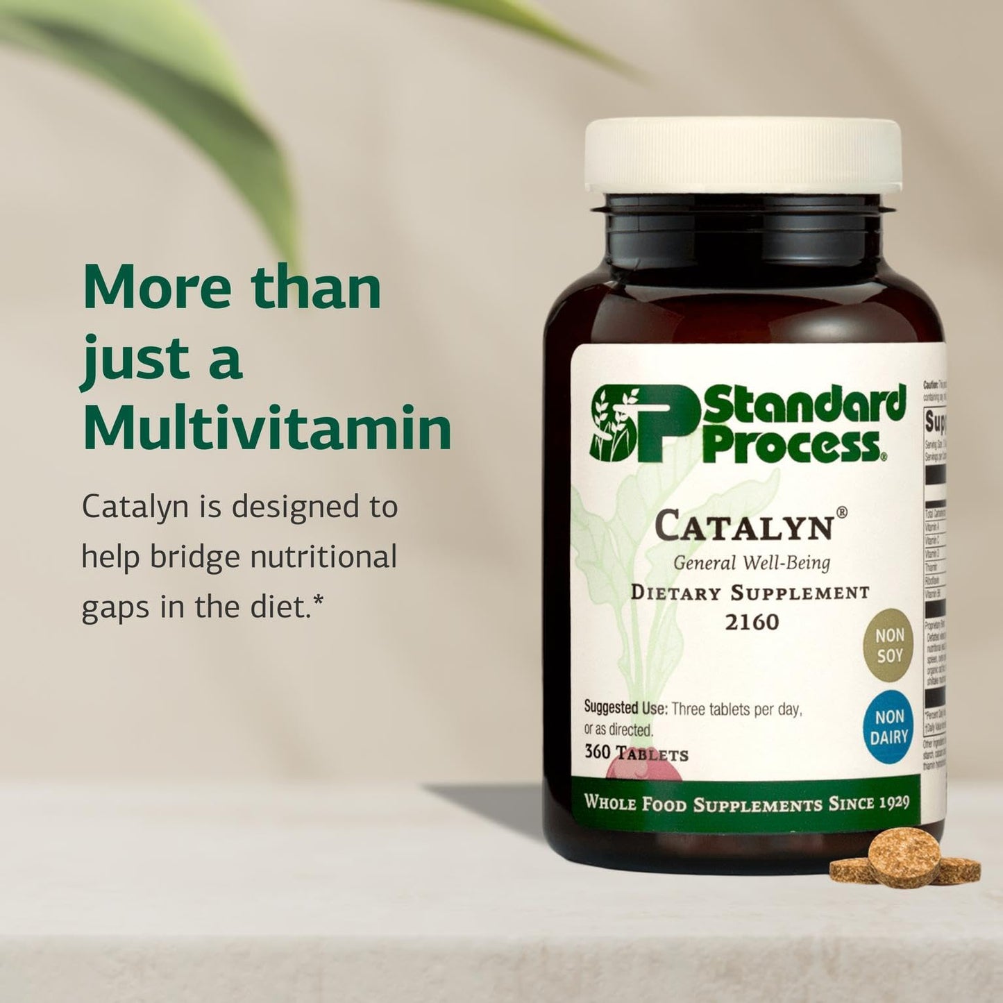Standard Process Catalyn – General Well-Being Dietary Supplement (Non-Dairy/Non-Soy) – 360 Tablets