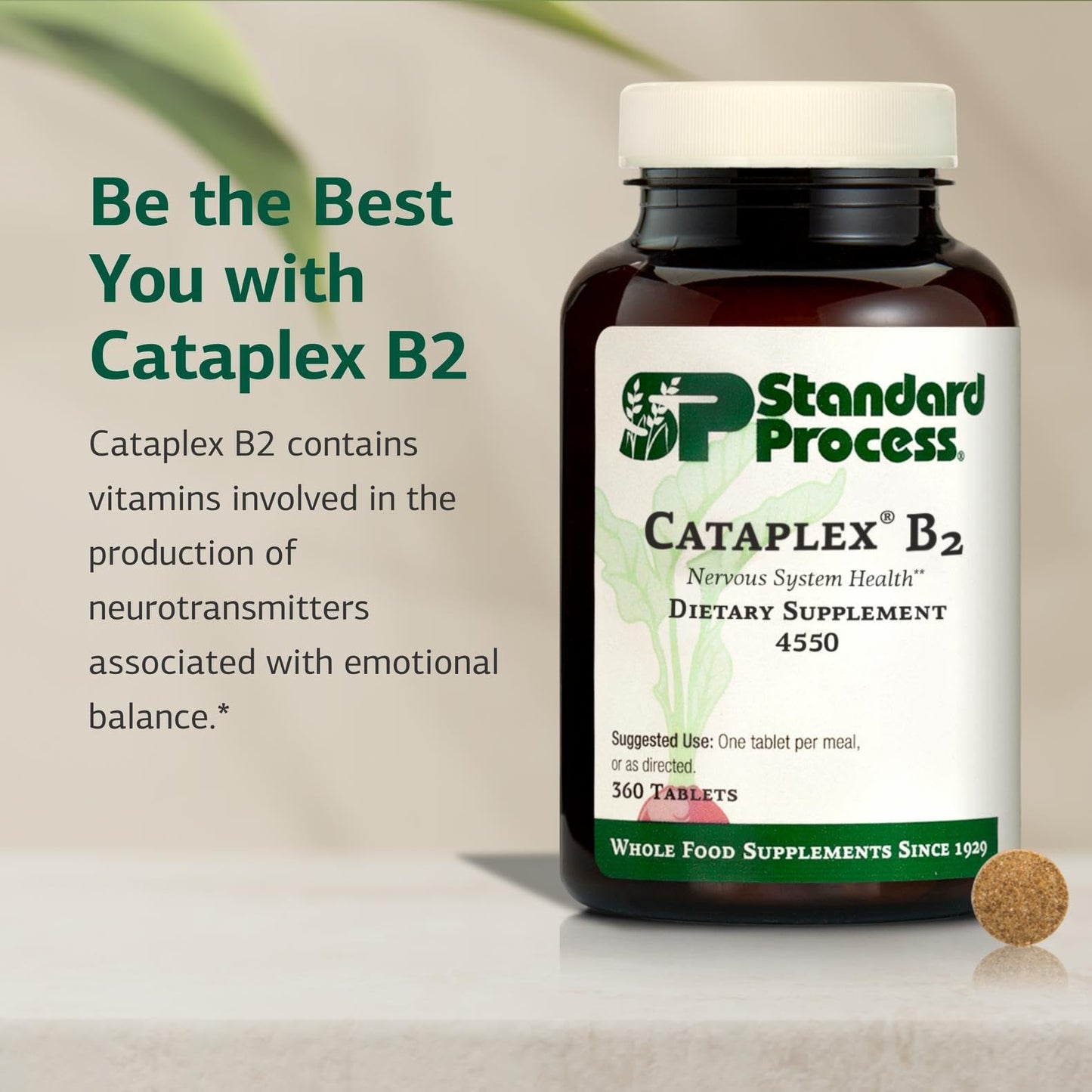 Standard Process Cataplex B2 – Nervous System Health Dietary Supplement (Non-Dairy & Non-Soy) – 360 Tablets