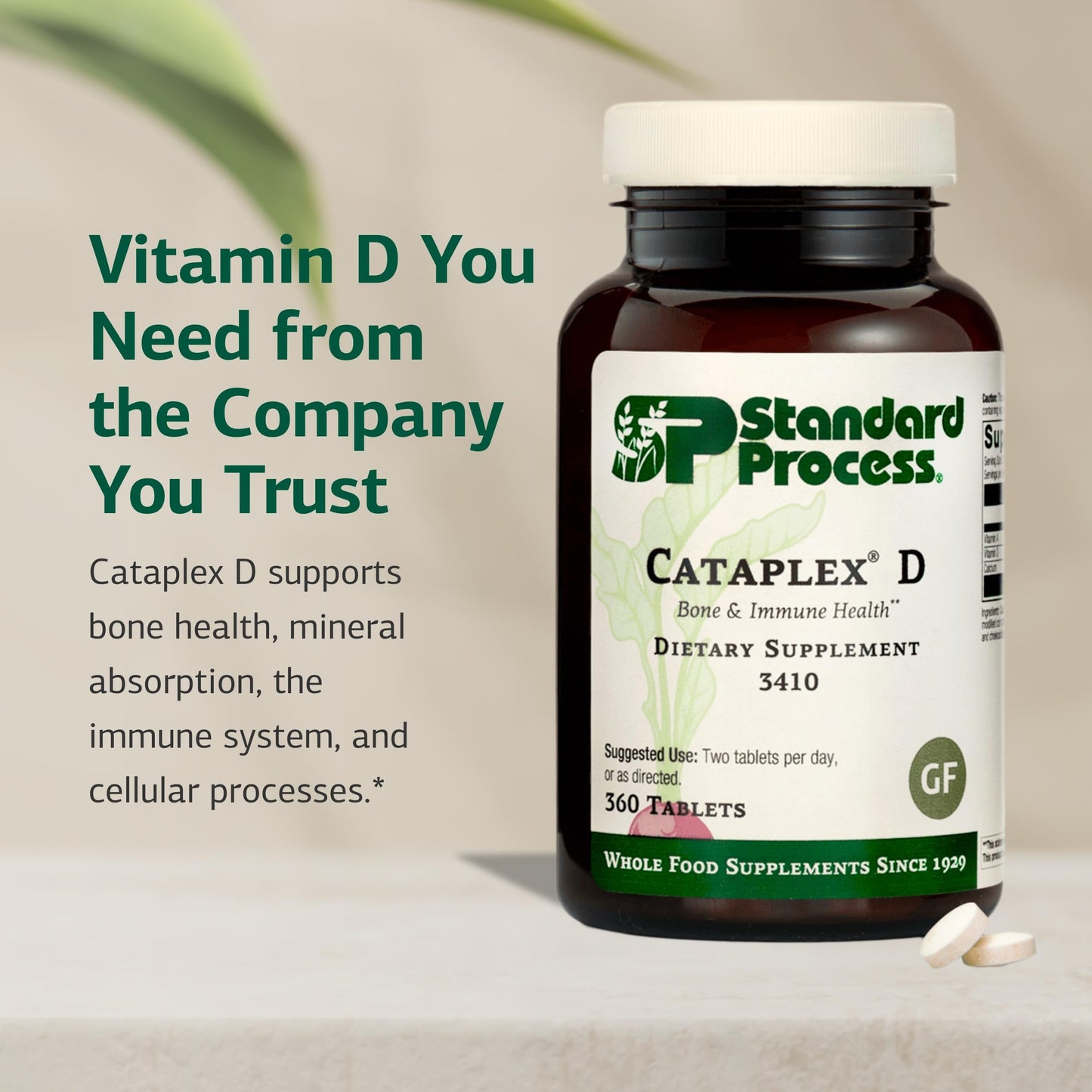 Standard Process Cataplex D - Immune Support, Bone Health & Mineral Absorption - 360 Tablets - Gluten-Free
