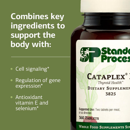 Cataplex E by Standard Process – Thyroid & Endocrine Health, Gluten-Free, 360 Tablets