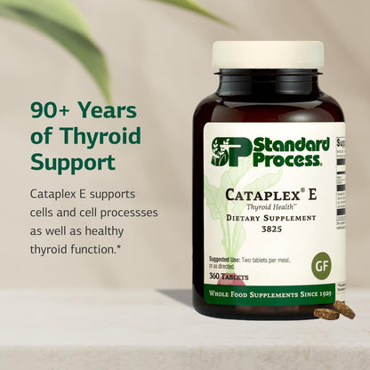 Cataplex E by Standard Process – Thyroid & Endocrine Health, Gluten-Free, 360 Tablets