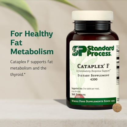 Standard Process Cataplex F – Vitamin B6 & Iodine for Thyroid Support, Non-Dairy & Non-Soy, 90 Tablets