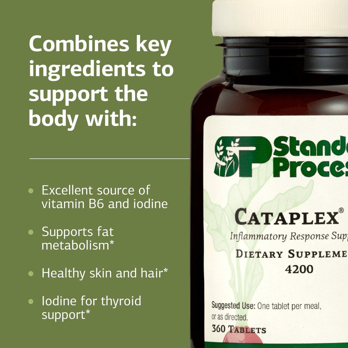 Standard Process Cataplex F – Vitamin B6 & Iodine for Thyroid Support, Non-Dairy & Non-Soy, 90 Tablets