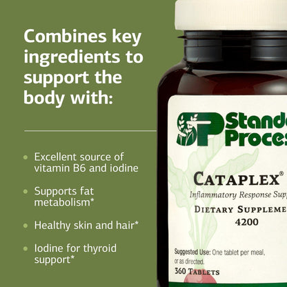 Standard Process Cataplex F – Vitamin B6 & Iodine for Thyroid Support, Non-Dairy & Non-Soy, 90 Tablets